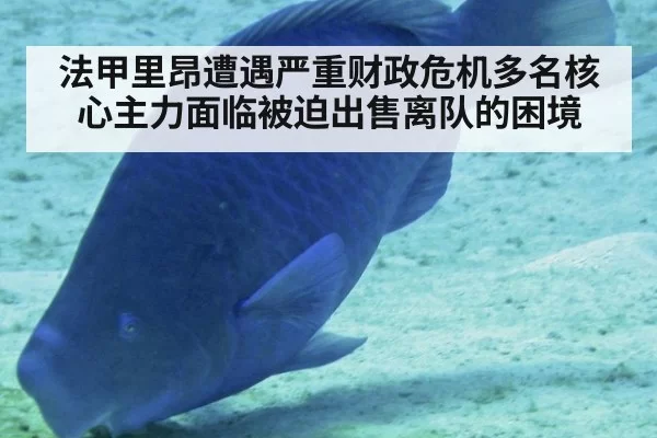法甲里昂遭遇严重财政危机多名核心主力面临被迫出售离队的困境