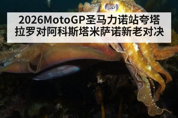 2026MotoGP圣马力诺站夸塔拉罗对阿科斯塔米萨诺新老对决